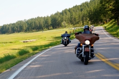 STURGIS-BUFFALO-CHIP-BIKER-BELLES-2019 (67)