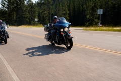 STURGIS-BUFFALO-CHIP-BIKER-BELLES-2019 (89)