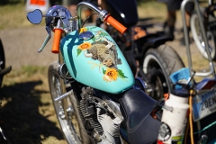 Sturgis Buffalo Chip 2020