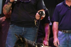 STURGIS-BUFFALO-CHIP-FREEDOM-CELEBRATION (10)