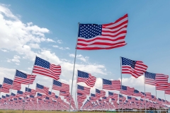 STURGIS-BUFFALO-CHIP-FREEDOM-CELEBRATION (5)
