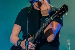 Aug9Thorogood12of12