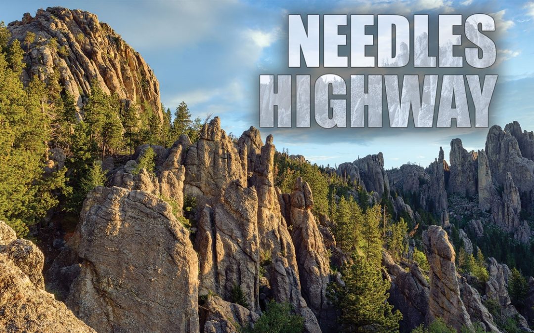 Get Away for the Day at Otherworldly Needles Highway