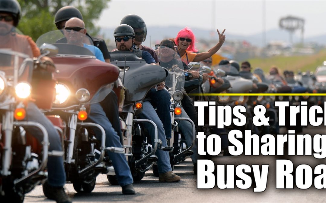 Tips and Tricks to Sharing a Busy Road
