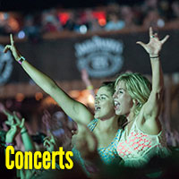 Concert