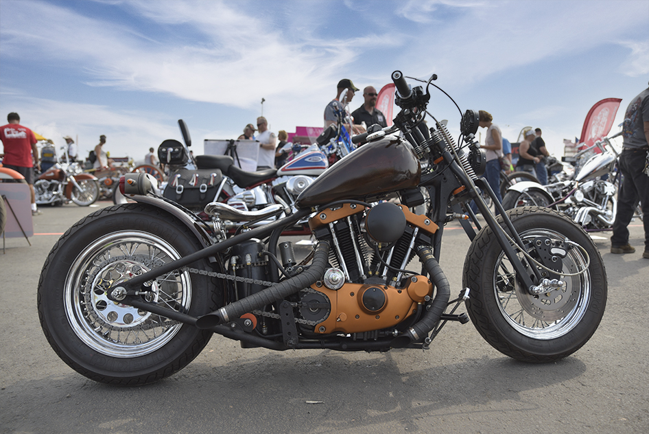 STURGIS-BUFFALO-CHIP-BIKE-SHOWS-EVO-ENTANGLEMENT-1